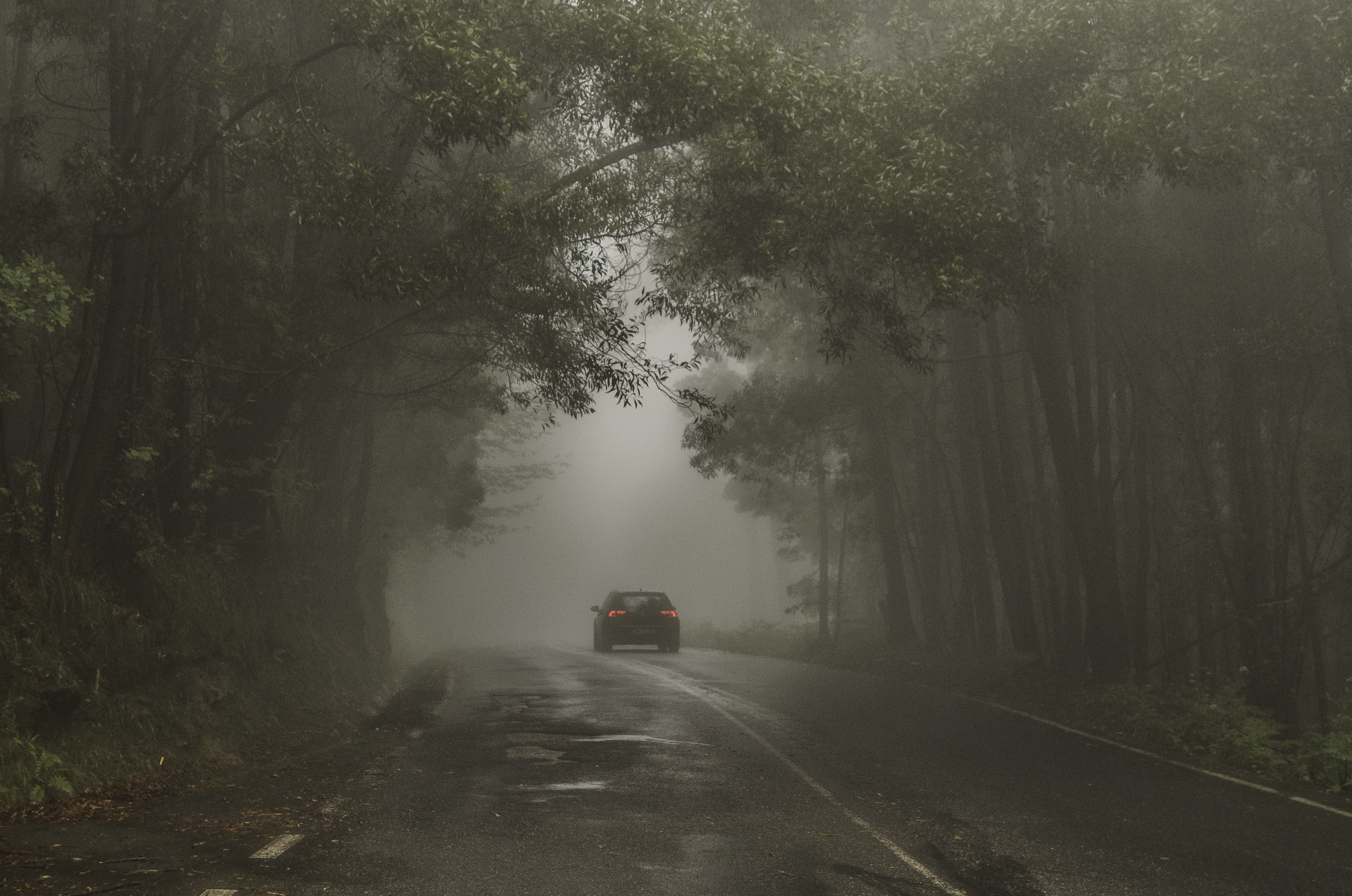 Унутар ума серијског убице, сезона 2